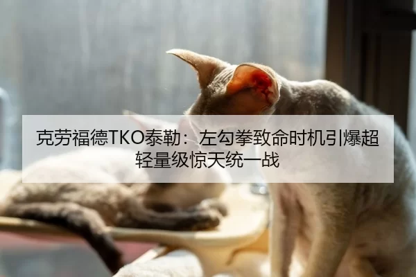 克劳福德TKO泰勒：左勾拳致命时机引爆超轻量级惊天统一战